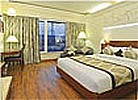 hotel Wood Castel Delhi